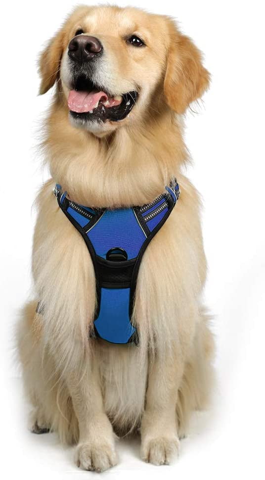 rabbitgoo led dog harness