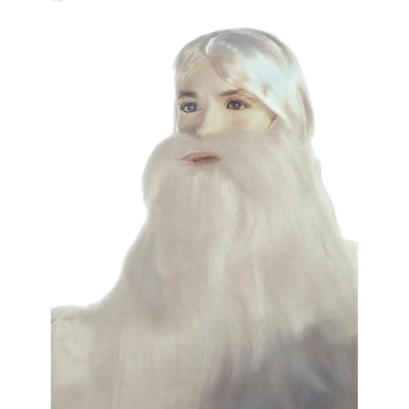 Special Bargain Wizard Set