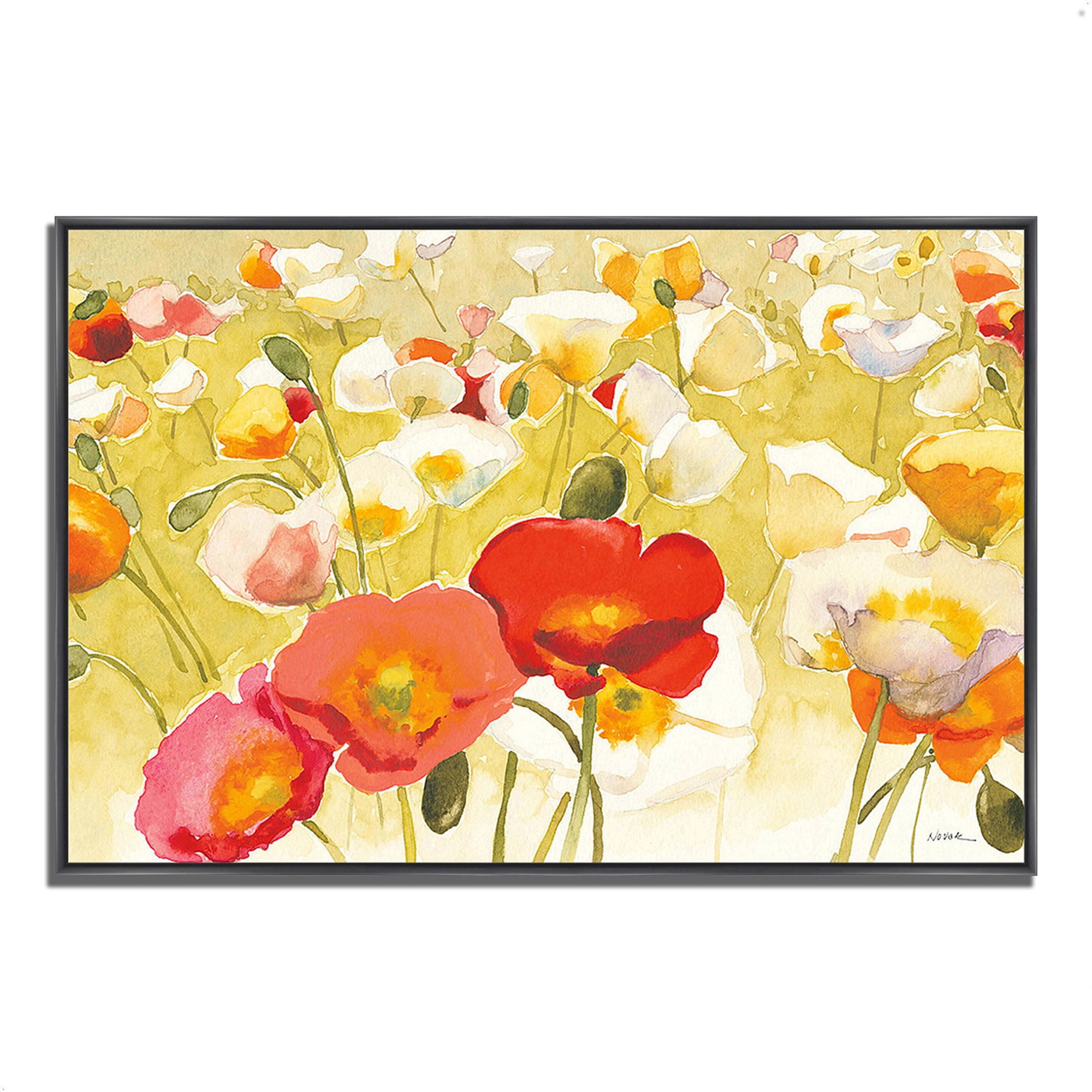 Wild Wings VII Giclee Stretched Canvas Artwork 16 x 20 Global Gallery Sue Schlabach