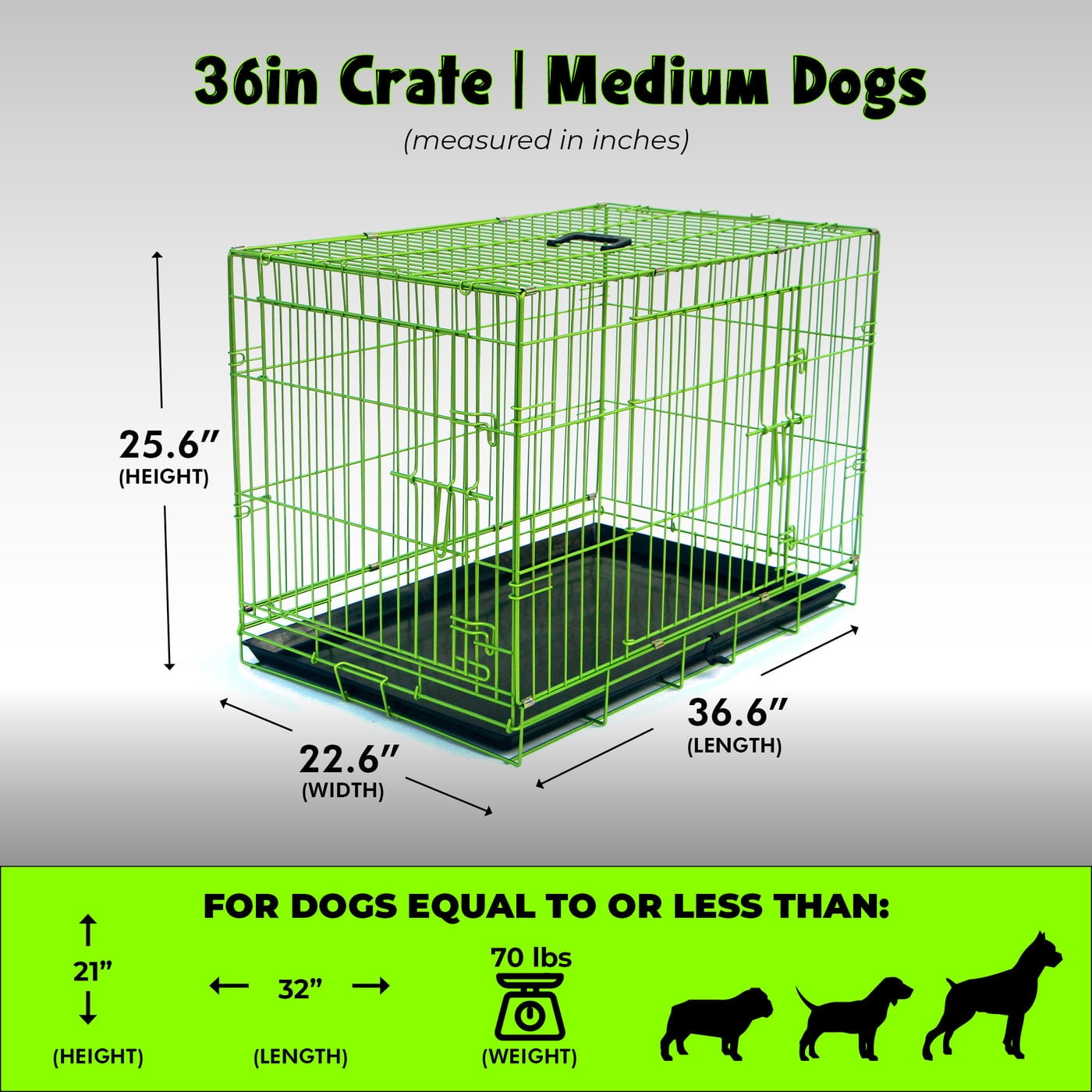 Pet Expressions 36 Inch Green Colored Metal Wire Dog Crate - Available in Various Sizes and Colors