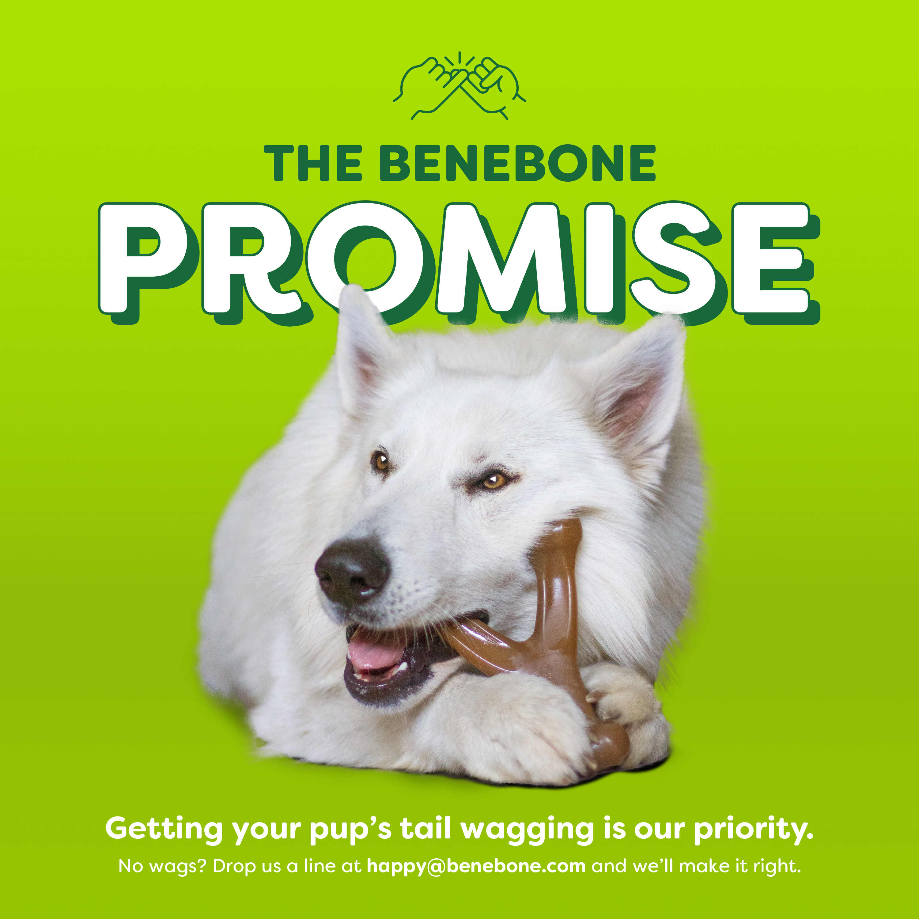 Benebone Essentials Wishbone Chew, Medium/Large, Bacon photo 5