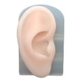 thumbnail image 2 of Modelo de Parte del Cuerpo Flexible Colcomx para Oreja Derecha de Silicona, 2 of 8