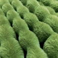 thumbnail image 6 of CHHYVKUIN Faux Fur Bubble Throws 50" x 60" , Luxury Plush Faux Rabbit Fur Throw Blanket for Couch, Sofa, Chair & Home Décor, Sage Green, 6 of 8