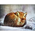 thumbnail image 3 of Aldridge, Ashley 14x12 Black Modern Framed Museum Art Print Titled - Red Fox Curl Up, 3 of 5