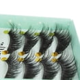 thumbnail image 5 of Fridja Eyelashes 3D 3D Eyelashes Thick Eyelashes 10 Pairs Pack High-grade Fiber, 5 of 6