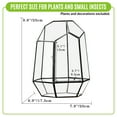 thumbnail image 6 of NCYP Closed Geometric Terrarium with Front Door, for Planting, Succulents, Terrarium Only, 6 of 9