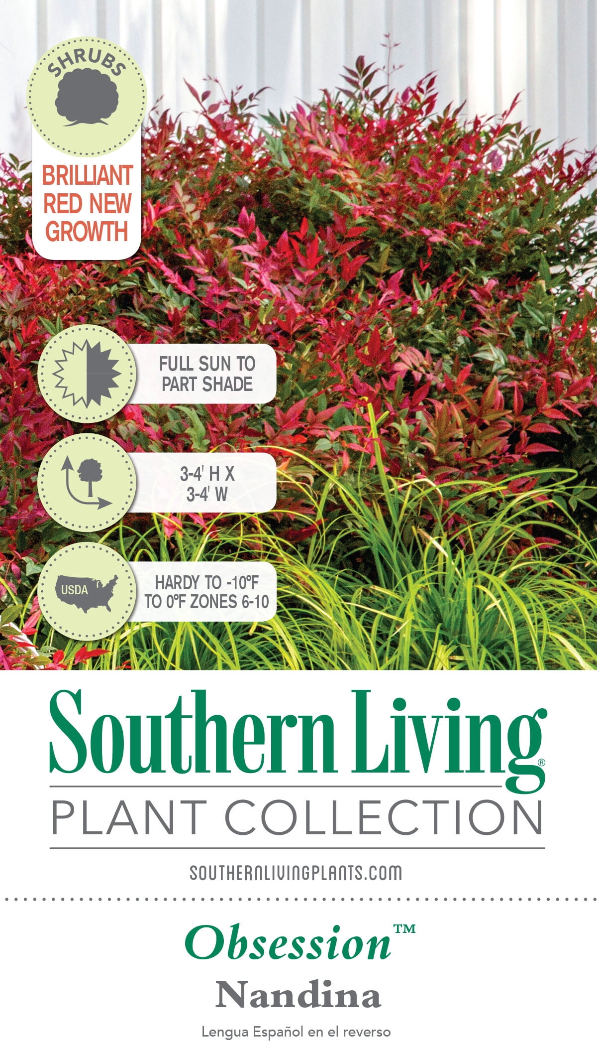 Southern Living Obsession Nandina Live Shrub in 2.5-Quart Grower Pot