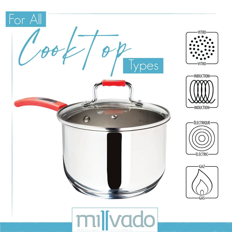Millvado Stock Pot, Large Stainless Steel 11 Quart StockPot, Large Cooking  Pot, Clear Glass Lid and Measurement Markings, Steam Hole, Induction, Gas
