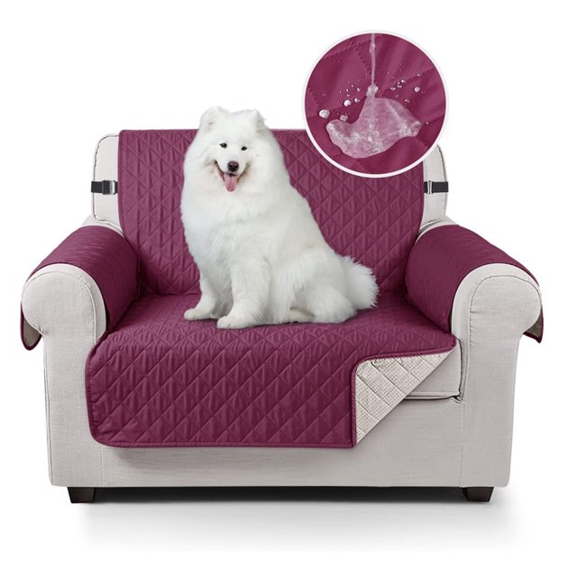 Fundas de sofá para perros, impermeables, con banda elástica, espuma antideslizante para protección contra derrames, desgaste y desgarros (rojo vino, 1 plaza)