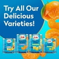 thumbnail image 4 of Dole Mandarin Oranges in Light Syrup, 11 oz Can, 4 of 10