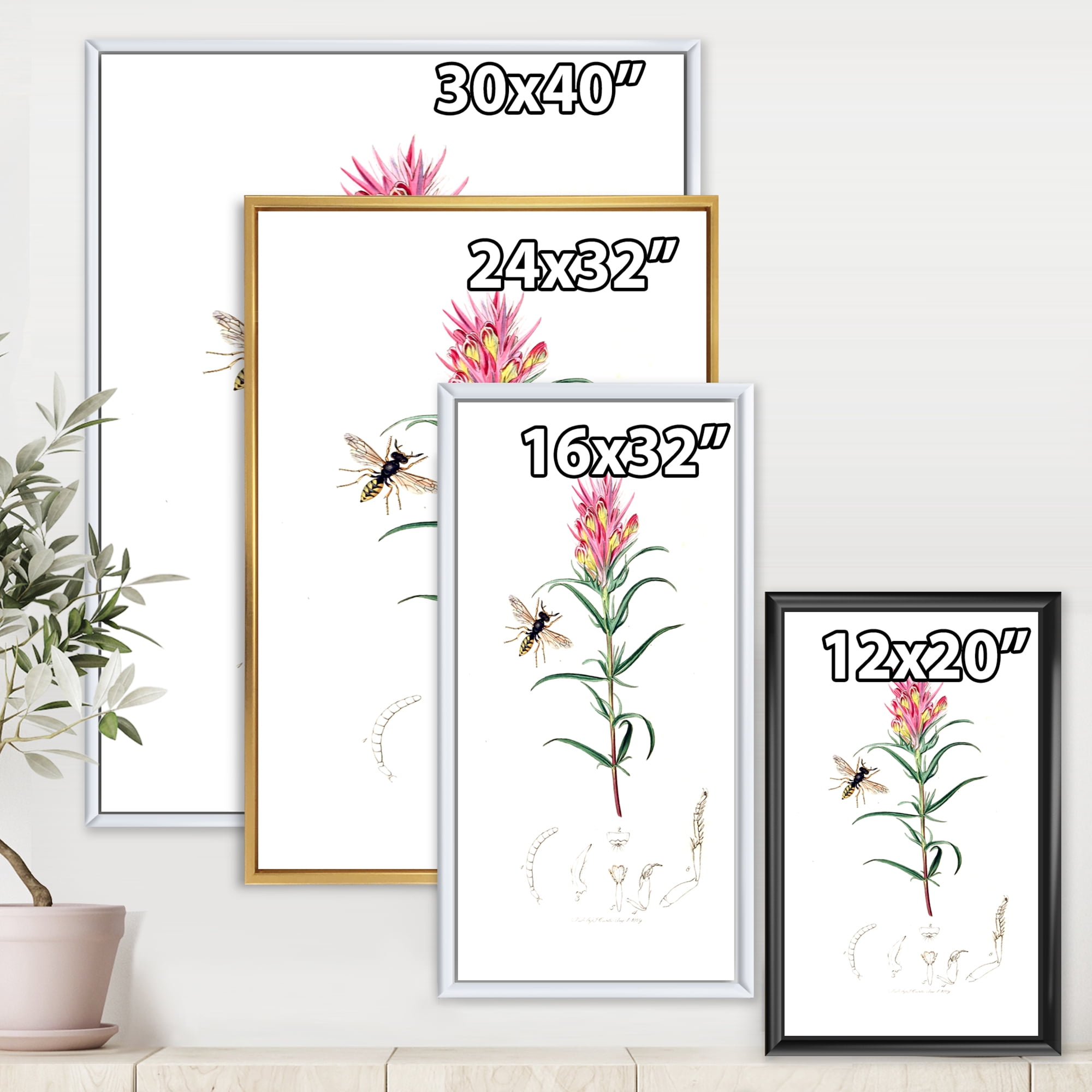 Designart 'Ancient Insects and Plants I' Farmhouse Framed Canvas Wall Art Print