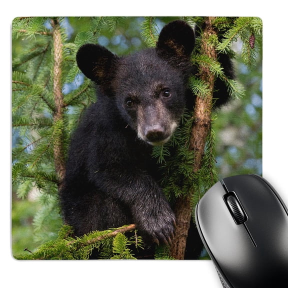 3dRose, USA, Minnesota, Sandstone. Black bear cub in a tree., MousePad