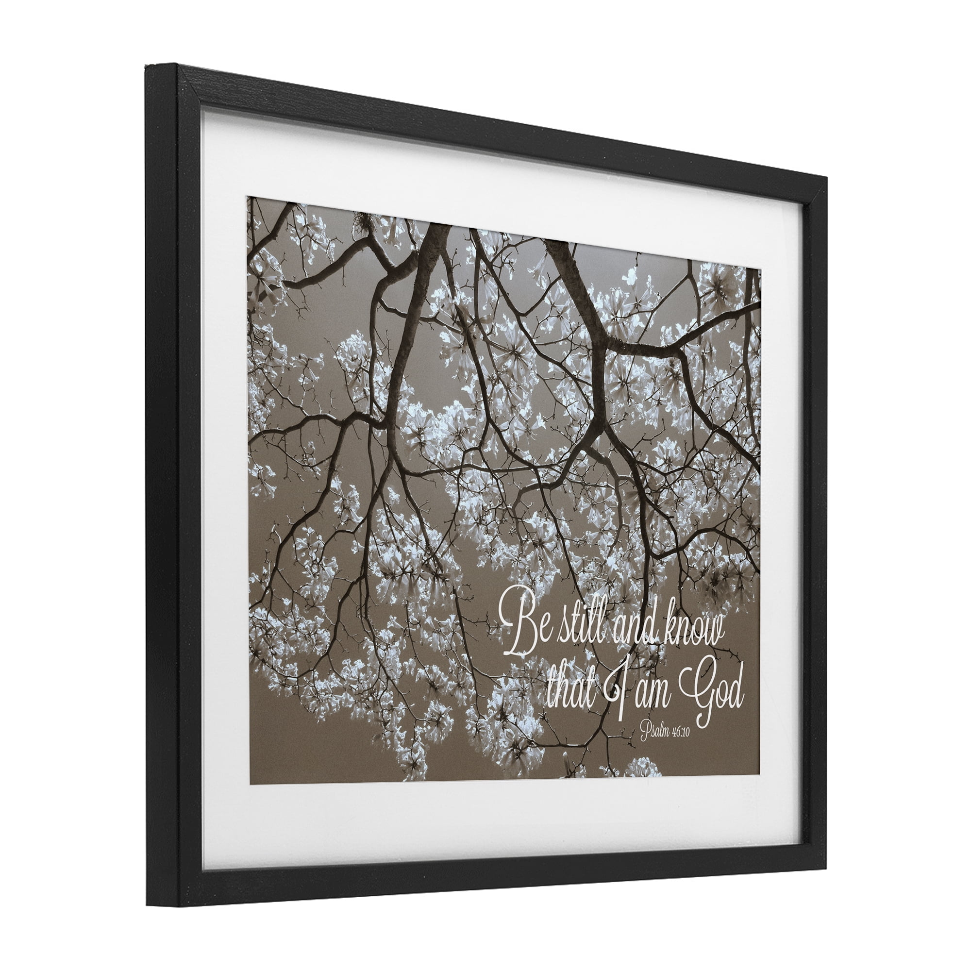 Stupell Industries Be Still Apple Blossoms Black Framed Print Under Glass, design by Gail Peck