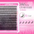 thumbnail image 2 of shiyou-Cluster Lashes D Curl Lash Clusters 280 Pcs Lash Extension Clusters Individual Lashes Soft DIY Eyelash Extensions Mixed Tray Eyelash Clusters Natural Look (60D-0.07D, 8-16mm), 2 of 4