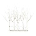 thumbnail image 1 of 30 Pouces Bouleau Blanc Grove LED88WW 5/Ensemble, 1 of 3