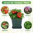 thumbnail image 3 of 4 Set Large Square Plastic Planter with Drainage & Saucer, 12" Outdoor & Indoor Plant Pots with Drainage Holes, Garden Thick Plastic Pots Container, Uv-Resistant (12",Square,Gallon Green), 3 of 5