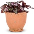 thumbnail image 2 of Extra Small Round Ruffled Planter, 2 of 4