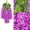 Hot Pink, variant on Clearance!Wisteria Hanging Flowers,Blue Wisteria,Blue Flowers Artificial For Decoration,Wisteria Flowers,Flower Curtain Backdrop,Blue Floral Garland,Wisteria Artificial Flowers,Faux Wisteria(12PCS)