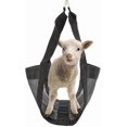 thumbnail image 3 of Calf scale for weighing animals, hanging scale, convenient for weighing calves, pigs, goats, and babies., 3 of 5