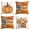 Orange, variant on Sm:)e Thankful Grateful Blessed Fall Thanksgiving Throw Pillow Covers Set of 4, 18 x 18 Inch Blue Pumpkin Floral Harvest Autumn Home Decorations for Sofa Couch