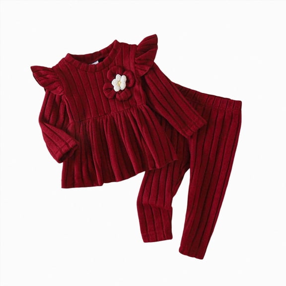 yboeqw Toddler Baby Girl Clothes 2 Piece Long Sleeve Ribbed Sweatshirt Top and Legging Pants Fall Winter Outfits Set,Size 12-18 Months