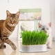 thumbnail image 1 of Bandeja de césped de gato Bandeja reutilizable Hidropónica Caja de césped Hidropónica Soils Soilling Planting Gat Grass Pot para gatos interiores, 1 of 9