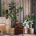 thumbnail image 2 of Artificial Tree Fiddle Leaf Tree, 2 of 14