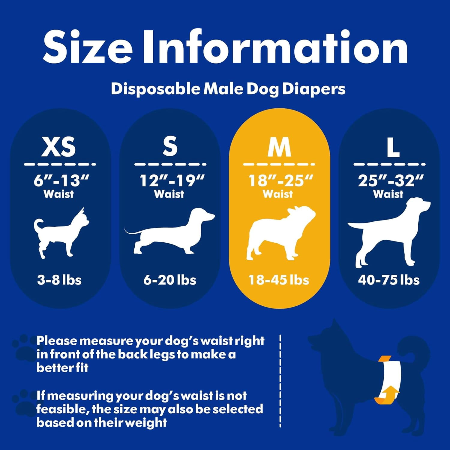 Petbb Male Dog Diapers, Disposable Male Dog Wraps with Wetness Indicator, Super Absorbent | Leak Proof Doggie Diapers for Incontinence, Marking, Puppy Training, M,18-25-inch Waist, 30 Counts