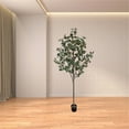 thumbnail image 5 of Artificial Tree Plant Eucalyptus Tree 6FT Tall, Modern Large Fake Plant Eucalyptus Tree Decor In Pot For Indoor Outdoor, Home Office Housewares Decoration, 5 of 5