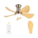 thumbnail image 1 of Vagizm Ventilador de Techo de 30 Pulgadas con Luz y Control Remoto, Estilo Moderno, Montaje Empotrado, Uso en Interiores, Tema Geométrico, 1 of 7