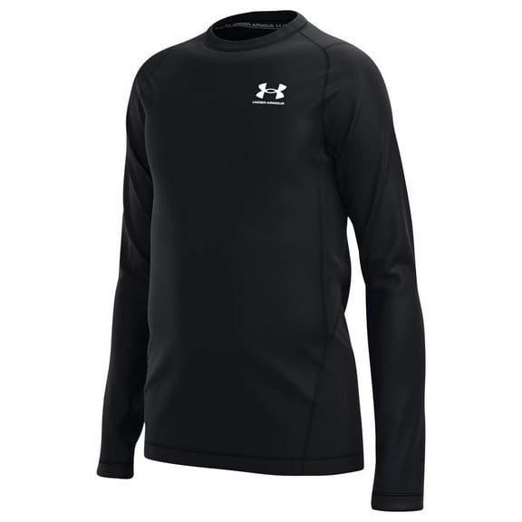 Under Armour Boys' ColdGear Armour LS Top