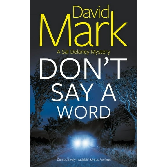 Sal Delaney Mystery Don't Say a Word, Book 2, (Hardcover)