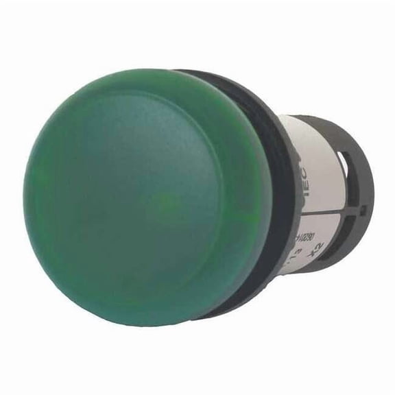 Eaton Raised Indicator Light,Green,120VAC C22-L-G-120