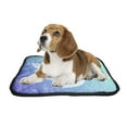 thumbnail image 2 of PKQWTM Sea Turtle In Line Pet Dog Cat Bed Pee Pads Mat Cushion Potty Dogs Blankets Crate Bed Kennel 14x18 inch, 2 of 3
