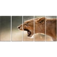 thumbnail image 2 of Lion Showing Dangerous Teeth - African Canvas Art Print, 2 of 3