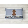 thumbnail image 2 of Carolines Treasures BB5644PW1216 Irish Water Spaniel Welcome Canvas Fabric Decorative Pillow, 12H x16W, multicolor, 2 of 3
