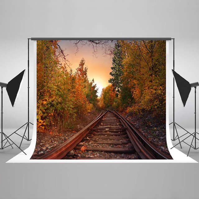 Fondos de Fotografía ABPHQTO de Paisaje Natural 150x220cm Tema de Otoño Maple Tress