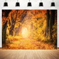 thumbnail image 5 of Fall Forest Background, Yellow Leave Natural Scenery Fall Leaves Photography Backdrop, Thanksgiving Day Harvest Decoration Banner Photo Booth Props,5x3ft, 5 of 5
