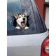 thumbnail image 1 of 1pc Doodle Style Car Sticker With Cracks & Husky Dog Design, 1 of 3