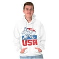 thumbnail image 3 of Street Fighter American Guile USA Hoodie Hooded Sweatshirt Men Brisco Brands M, 3 of 6