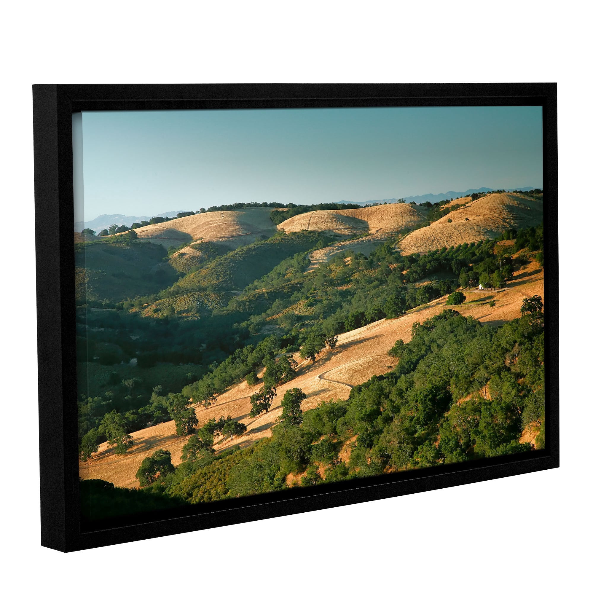 ArtWall Steve Ainsworth "Hills of California" Gallery-Wrapped Floater-Framed Canvas