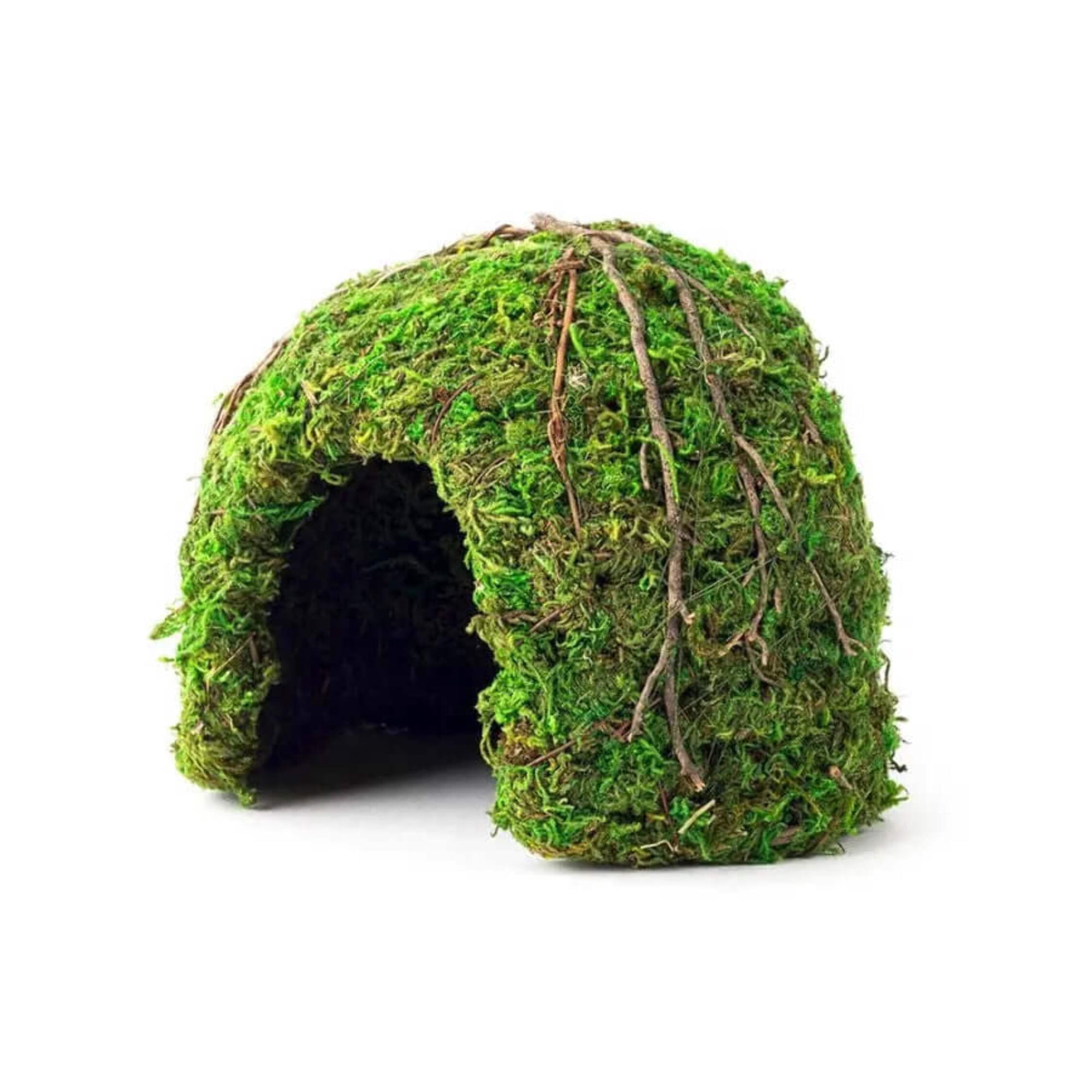 Galapagos Mossy Dome Terrarium Hideaway, Fresh Green, 1 Each/6 in