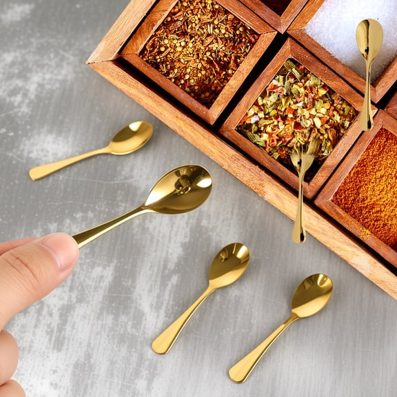 18 Pcs Reusable Tiny Spoon 2.9 Inches 304 Stainless Steel Mini Spice Spoon with Ergonomic Handle for Seasoning Honey Coffee Dessert Cake
