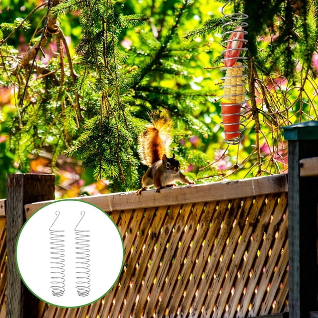 RENACLIPY 2Ud Alimentadores Para Ardillas De Inoxidable Plateado Para Jardín Y Exterior