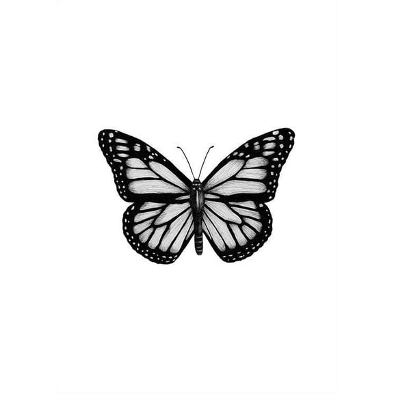 Butterfly Drawing Print Wall Art, Modern Wall Decor For Living Room Bedroom, 8x12 UNFRAMED