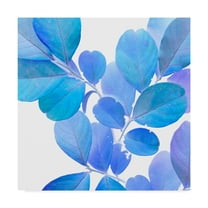 Trademark Fine Art 'Xray Leaves I' Canvas Art by Vision Studio