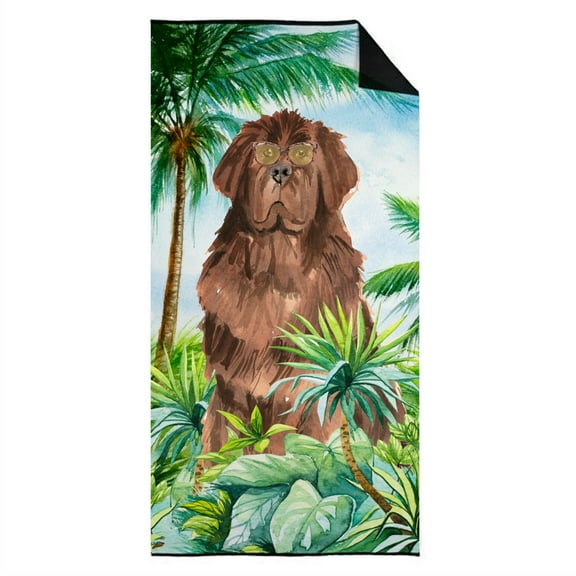 Carolines Treasures CK3005TWL3060 Newfoundland Premium Beach Towel 30W X 60H multicolor