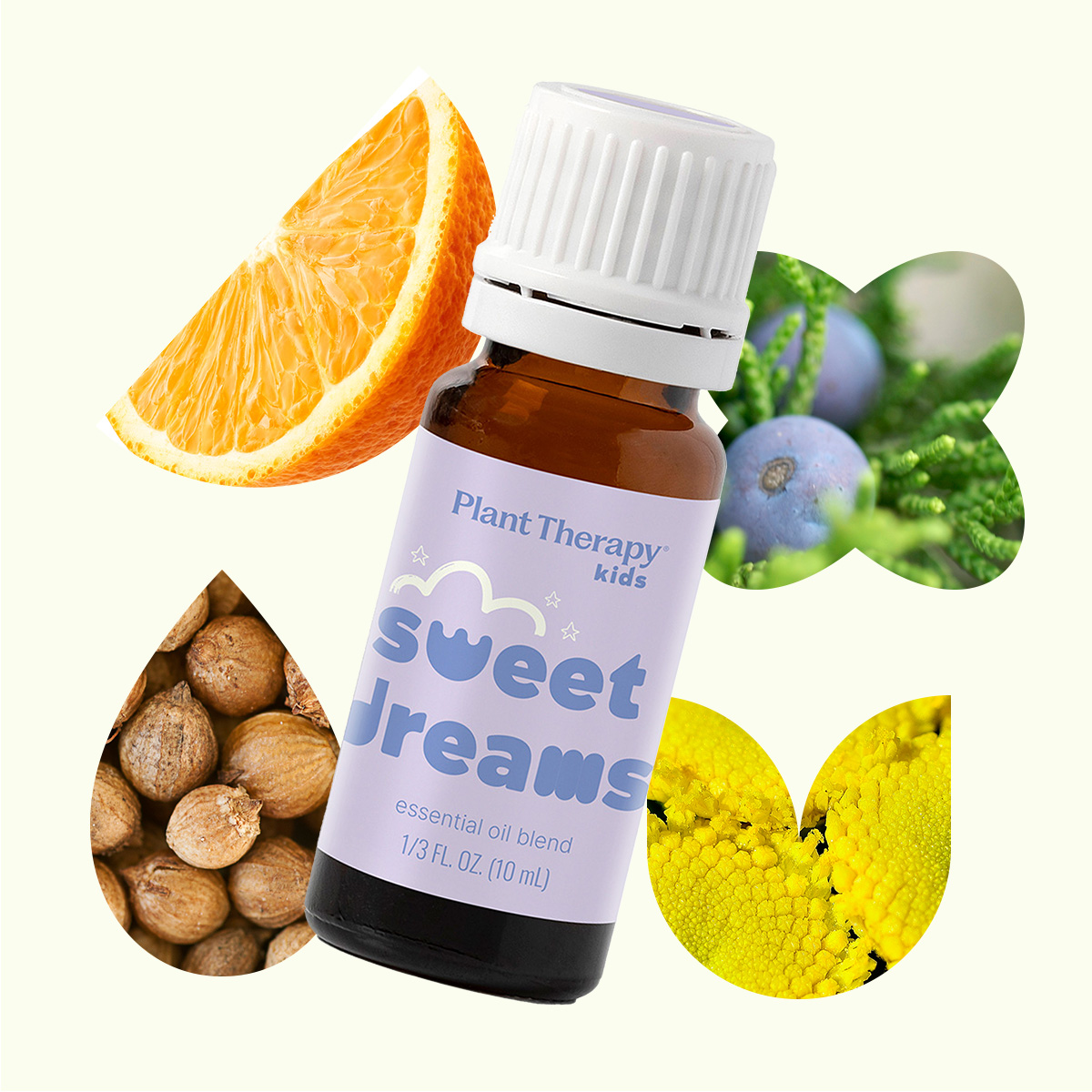 Plant Therapy Kids Sweet Dreams Essential Oil Blend 10 mL (1/3 oz) 100% Pure, Undiluted, Natural Aromatherapy