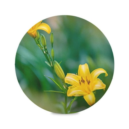 

Round Placemat Set 15.4 Inch Diameter Table Mats Heat-Resistant Decorative for Dining Tables Yellow Day Lily Flower