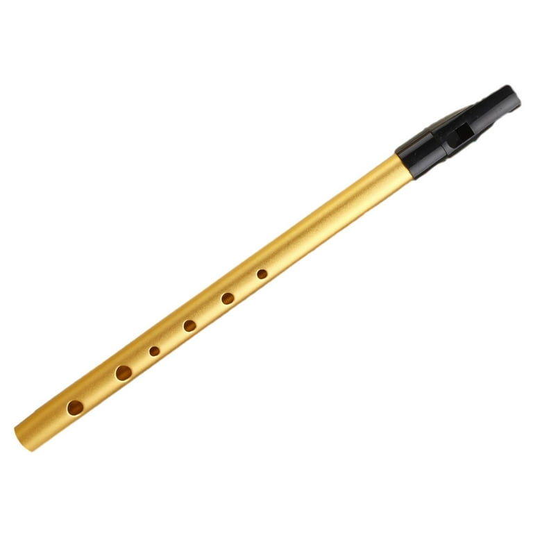 Easy wind 2024 instruments to learn